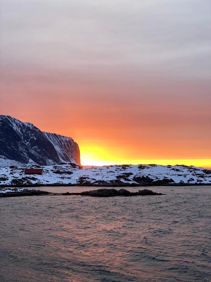Villa Borgvag - A Unique Seafront Villa In The Heart Of Lofoten Bostad Esterno foto