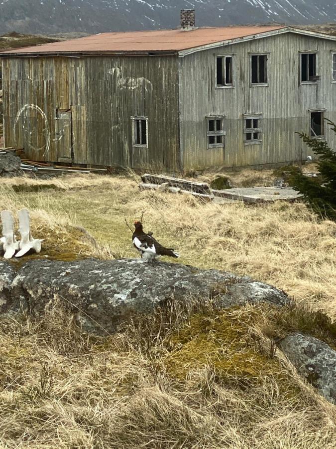 Villa Borgvag - A Unique Seafront Villa In The Heart Of Lofoten Bostad Esterno foto